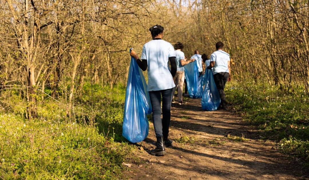 Landfill Diversion for Businesses: What It Is and How to Start