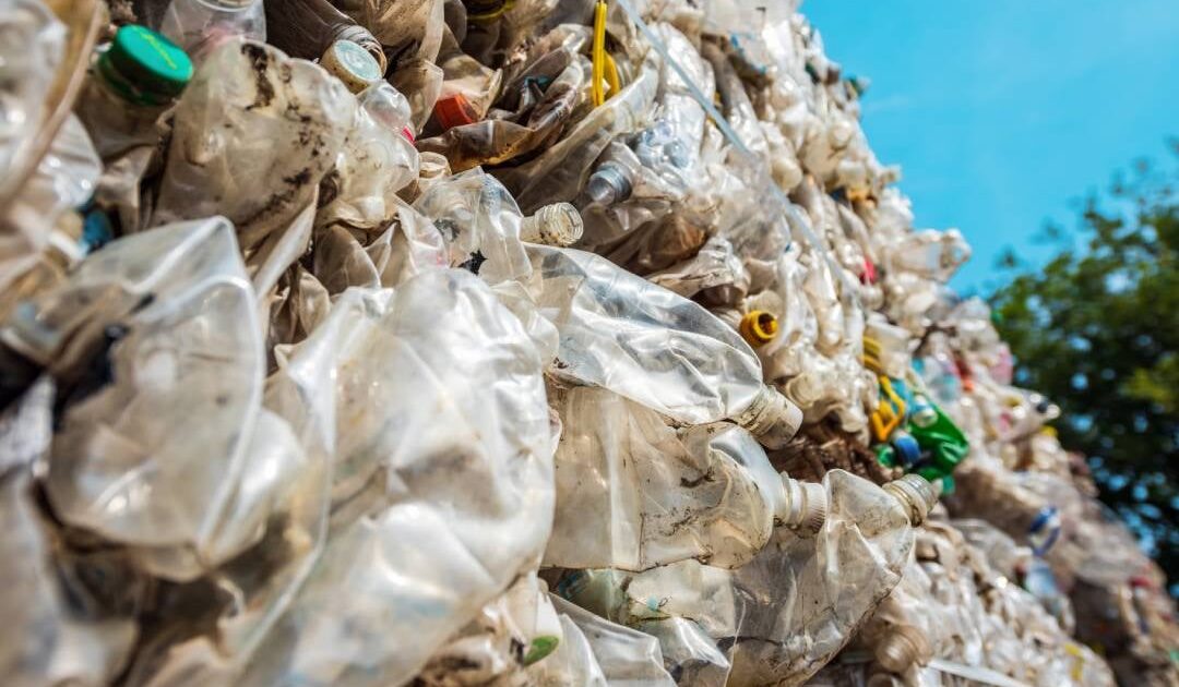 Plastic Grinding, Shredding and Toll Processing: What Happens to Your Scrap